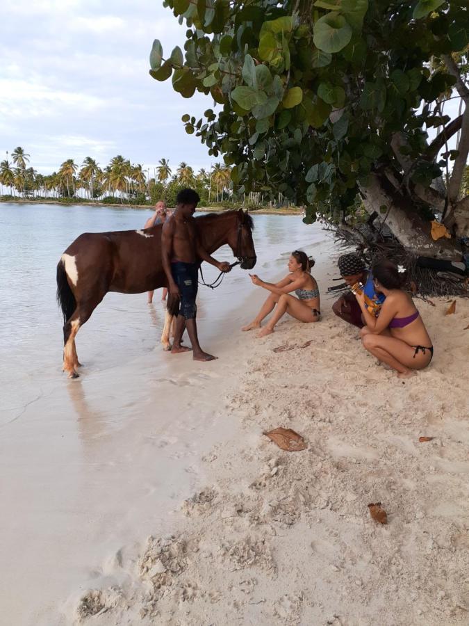 La Hacienda Guest House Las Galeras Ngoại thất bức ảnh