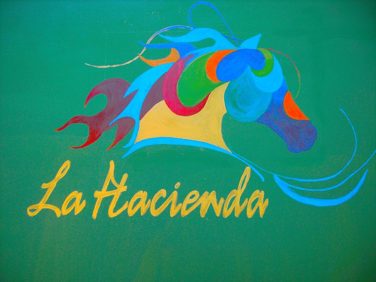 La Hacienda Guest House Las Galeras Ngoại thất bức ảnh